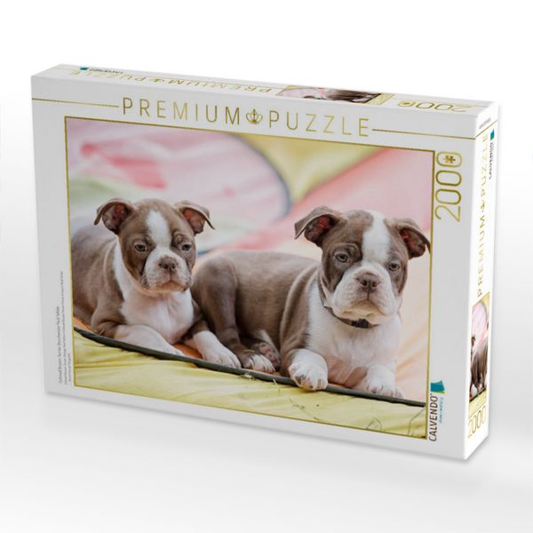 Produktbild: Colored Boston Terrier Geschwister Red/White (Puzzle)