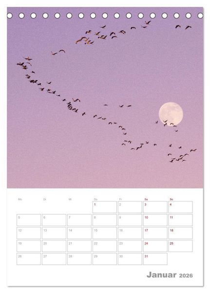 Produktbild: VOLLMOND-Planer - Im Licht der Nacht (Tischkalender 2026 DIN A5 hoch), CALVENDO Monatskalender