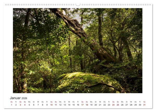 Produktbild: Yakushima - Japans Weltnaturerbe (Wandkalender 2026 DIN A2 quer), CALVENDO Monatskalender