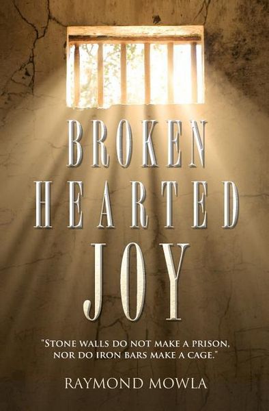 Produktbild: Broken Hearted Joy