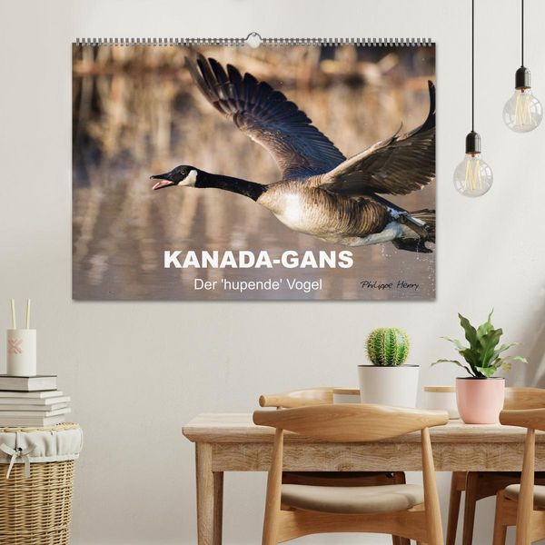Produktbild: KANADA-GANS - Der 'hupende' Vogel (Wandkalender 2026 DIN A2 quer), CALVENDO Monatskalender