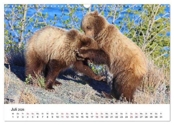 Produktbild: Alaska und West-Kanada (Wandkalender 2026 DIN A3 quer), CALVENDO Monatskalender