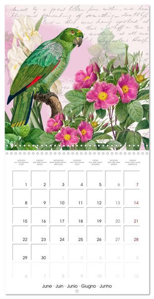 Produktbild: The Magical Roses Collages with roses from Pierre Joseph Redout&eacute; (Wall Calendar 2026 12 &times; 12 Inch) CALVENDO 12 Month Wall Calendar