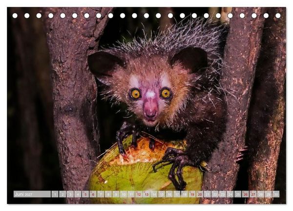 Produktbild: Wildnis Madagaskar (Tischkalender 2027 DIN A5 quer), CALVENDO Monatskalender