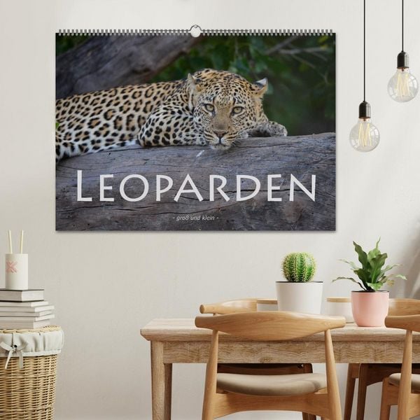 Produktbild: Leoparden - gro&szlig; und klein (Wandkalender 2026 DIN A2 quer), CALVENDO Monatskalender