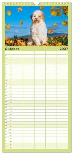 Produktbild: Familienplaner 2027 - Lagotto Romagnolo - die Tr&uuml;ffelsucher Italiens mit 5 Spalten (Wandkalender, 21 x 45 cm) CALVENDO