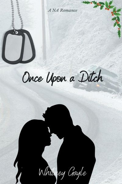 Produktbild: Once Upon A Ditch