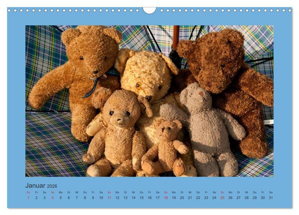 Produktbild: Teddys Meine Freunde (Wandkalender 2026 DIN A3 quer), CALVENDO Monatskalender