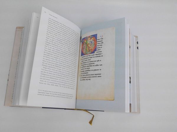 Produktbild: Pracht und Anmut