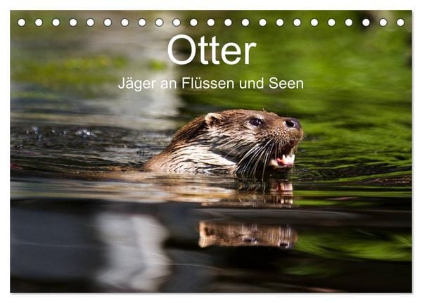 Produktbild: Otter - J&auml;ger an Fl&uuml;ssen und Seen (Tischkalender 2026 DIN A5 quer), CALVENDO Monatskalender