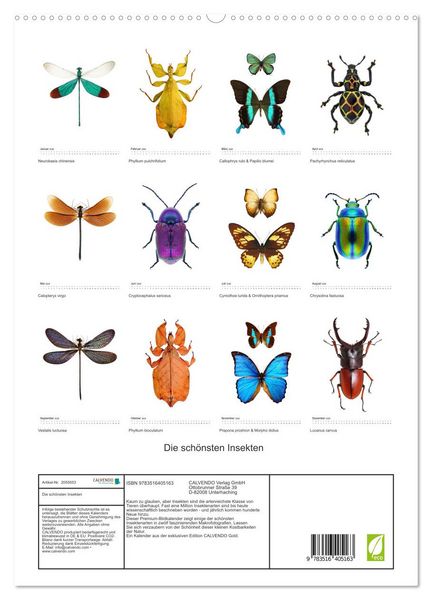 Produktbild: Die sch&ouml;nsten Insekten (hochwertiger Premium Wandkalender 2026 DIN A2 hoch), Kunstdruck in Hochglanz