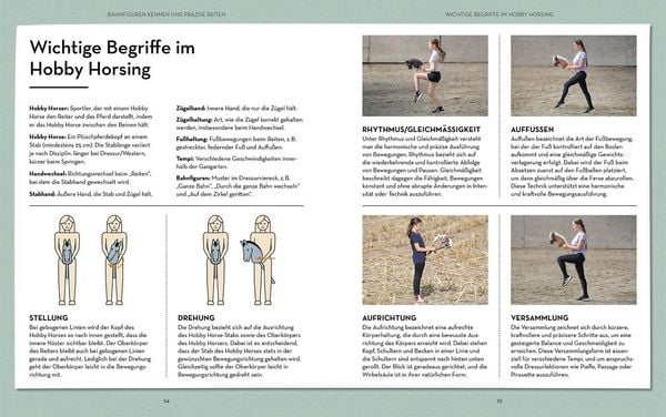 Produktbild: Hobby Horsing Dressurtraining