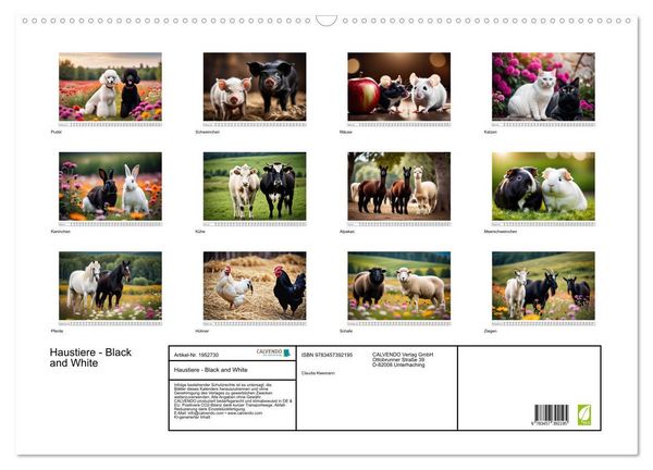 Produktbild: Haustiere - Black and White (Wandkalender 2026 DIN A2 quer), CALVENDO Monatskalender