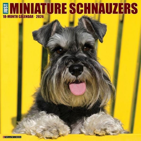 Produktbild: Miniature Schnauzers 2026 Wall Calendar