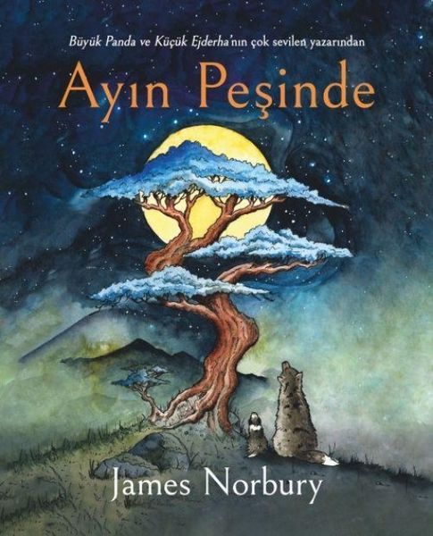 Produktbild: Ayin Pesinde Ciltli