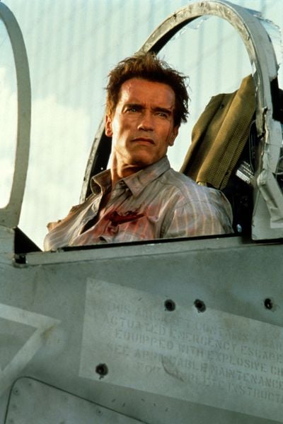 Produktbild: True Lies