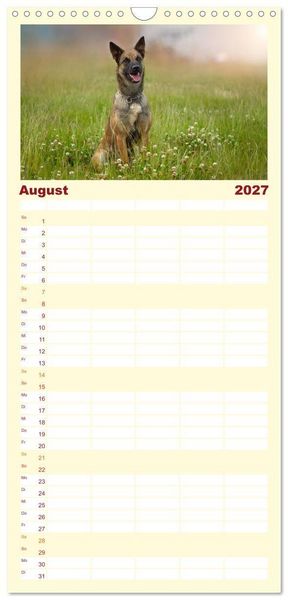 Produktbild: Familienplaner 2027 - Traumhund Malinois mit 5 Spalten (Wandkalender, 21 x 45 cm) CALVENDO