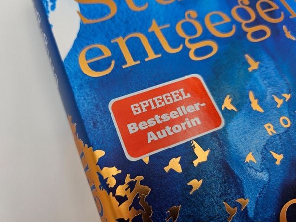 Produktbild: Dem Sturm entgegen
