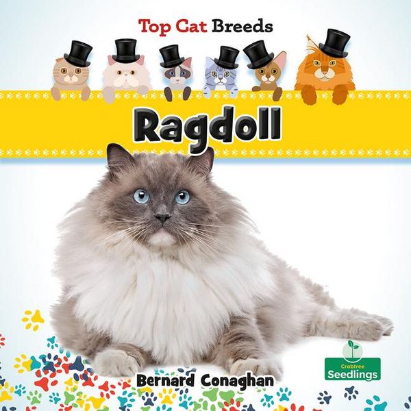Produktbild: Ragdoll