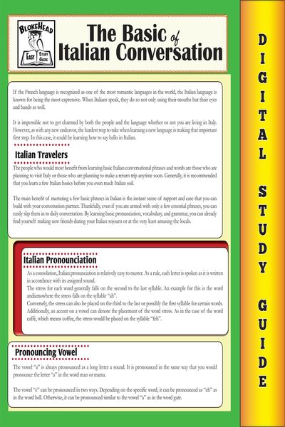 Produktbild: Italian Conversation (Blokehead Easy Study Guide)