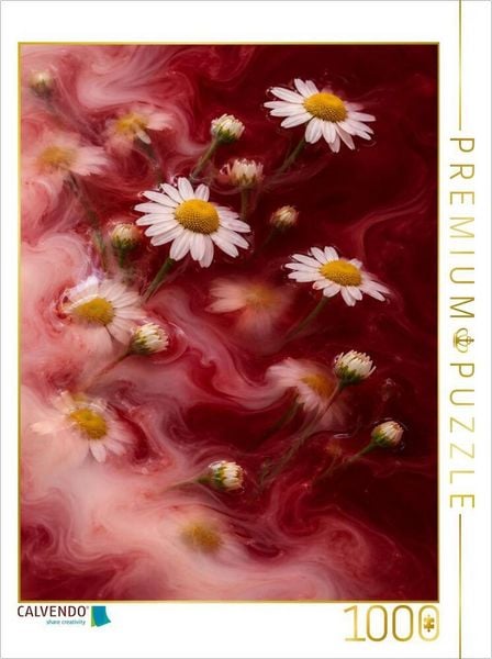 CALVENDO Puzzle Ein Motiv aus dem Kalender Blüten in der Schwebe | 1000 Teile Lege-Größe 64 × 48 cm Foto-Puzzle für glückliche Stunden