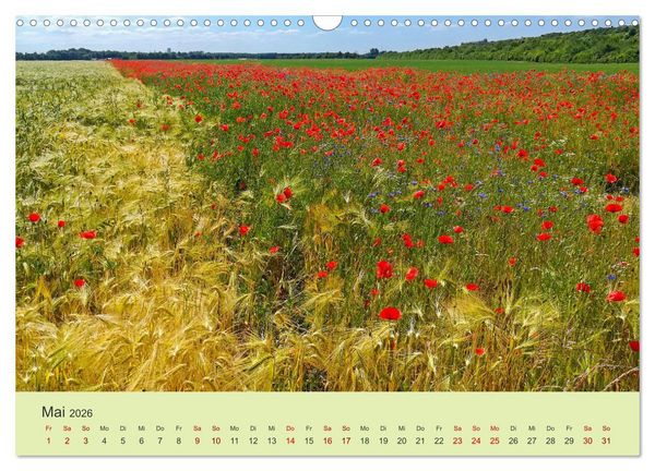 Produktbild: Wilde Blumen - ein Spaziergang durch die Natur (Wandkalender 2026 DIN A3 quer), CALVENDO Monatskalender
