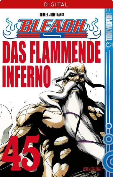Produktbild: Bleach 45