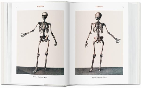 Jean Marc Bourgery. Atlas of Human Anatomy and Surgery