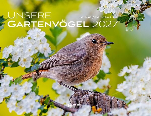 Unsere Gartenvögel 2027 Eintragkalender