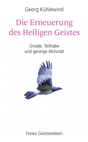 Produktbild: Die Erneuerung des Heiligen Geistes