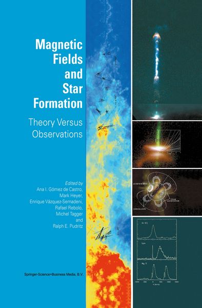 Produktbild: Magnetic Fields and Star Formation