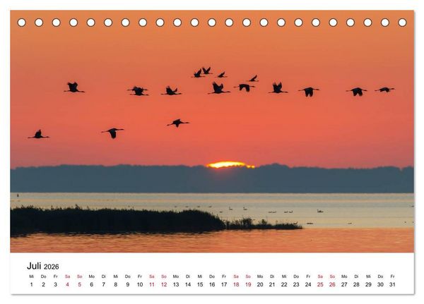 Produktbild: Zug der Kraniche (Tischkalender 2026 DIN A5 quer), CALVENDO Monatskalender