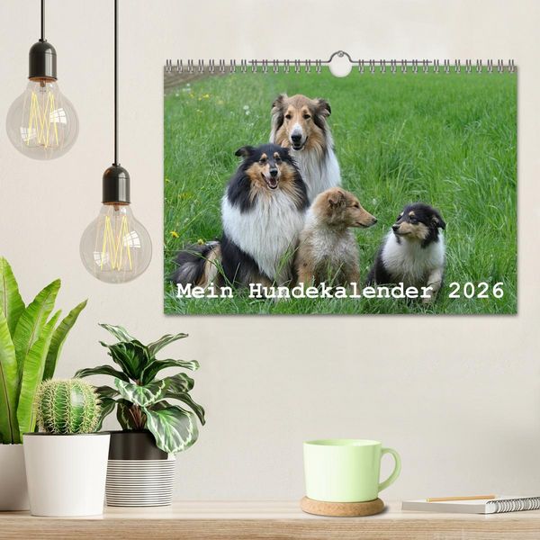 Produktbild: Mein Hundekalender 2026 (Wandkalender 2026 DIN A4 quer), CALVENDO Monatskalender