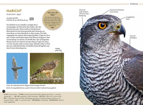 Produktbild: Lieblingsv&ouml;gel