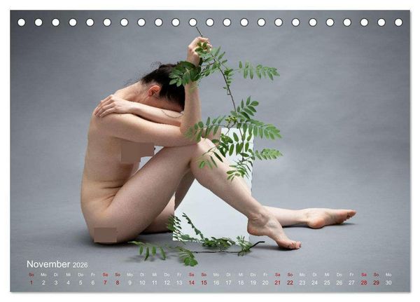 Produktbild: Spiegel-Spielereien (Tischkalender 2026 DIN A5 quer), CALVENDO Monatskalender