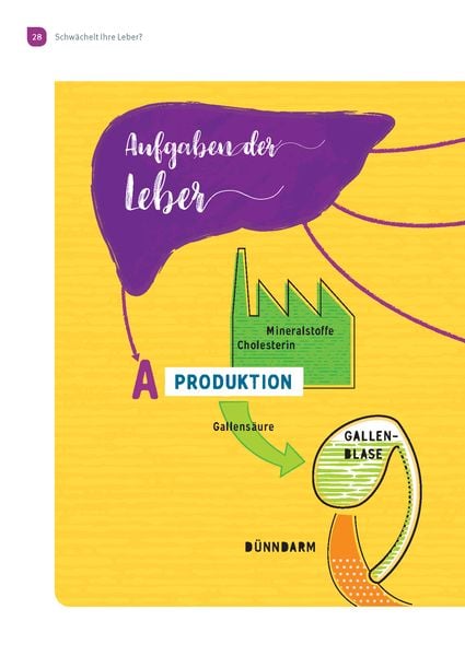 Produktbild: Wunderleicht Leberreinigung