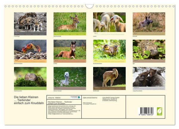 Produktbild: Die lieben Kleinen ... Tierkinder einfach zum Knuddeln (Wandkalender 2026 DIN A3 quer), CALVENDO Monatskalender