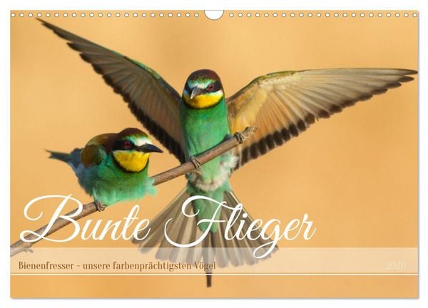Produktbild: Bunte Flieger (Wandkalender 2026 DIN A3 quer), CALVENDO Monatskalender