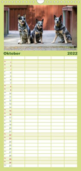 Produktbild: Spaziergang am See Australian Cattle Dogs - Familienplaner hoch (Wandkalender 2022 , 21 cm x 45 cm, hoch)