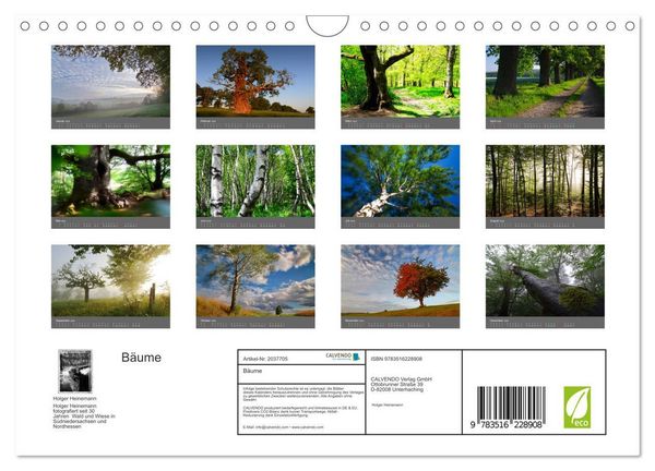 Produktbild: B&auml;ume (Wandkalender 2026 DIN A4 quer), CALVENDO Monatskalender