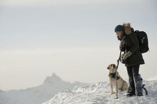 Produktbild: Zwischen zwei Leben - The Mountain Between Us