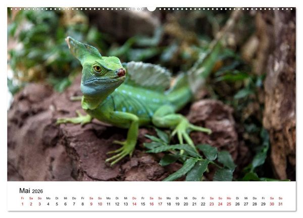 Produktbild: Costa Rica - das Naturparadies (hochwertiger Premium Wandkalender 2026 DIN A2 quer), Kunstdruck in Hochglanz
