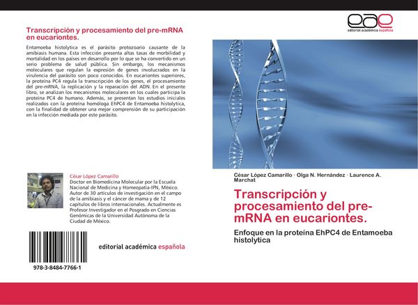 Produktbild: Transcripci&oacute;n y procesamiento del pre-mRNA en eucariontes.