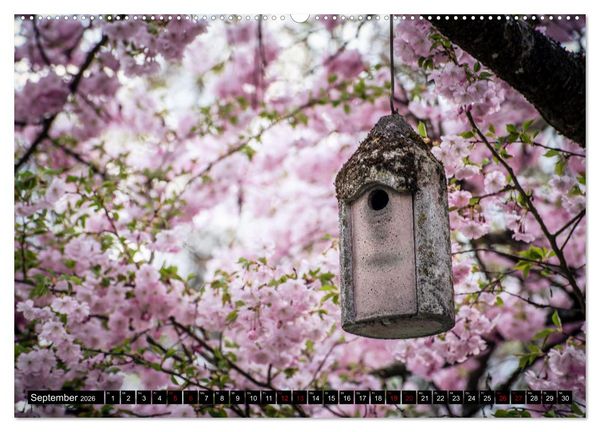 Produktbild: Fr&uuml;hlingsbl&uuml;her - Farbenpracht nach dem Winter (Wandkalender 2026 DIN A2 quer), CALVENDO Monatskalender