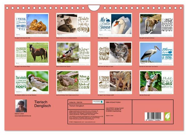 Produktbild: Tierisch Denglisch (Wandkalender 2026 DIN A4 quer), CALVENDO Monatskalender