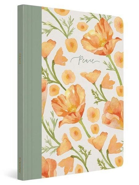 Produktbild: ESV Prayer Journal