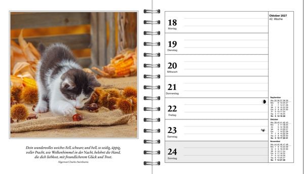 Produktbild: Diary Schmusekatzen 2027