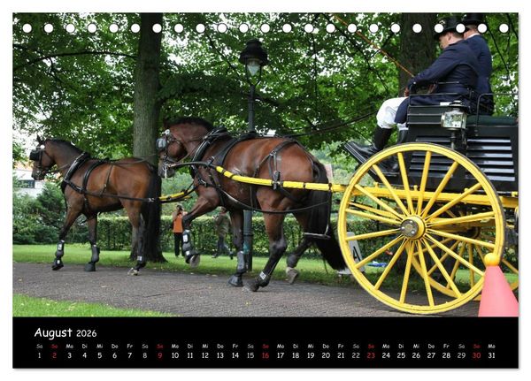 Produktbild: CIAT - Historischer Fahrsport in Celle (Tischkalender 2026 DIN A5 quer), CALVENDO Monatskalender
