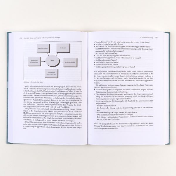 Produktbild: Handbuch Schulentwicklung: Beratung und Begleitung
