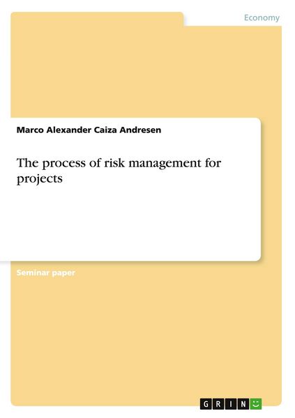 Produktbild: The process of risk management for projects